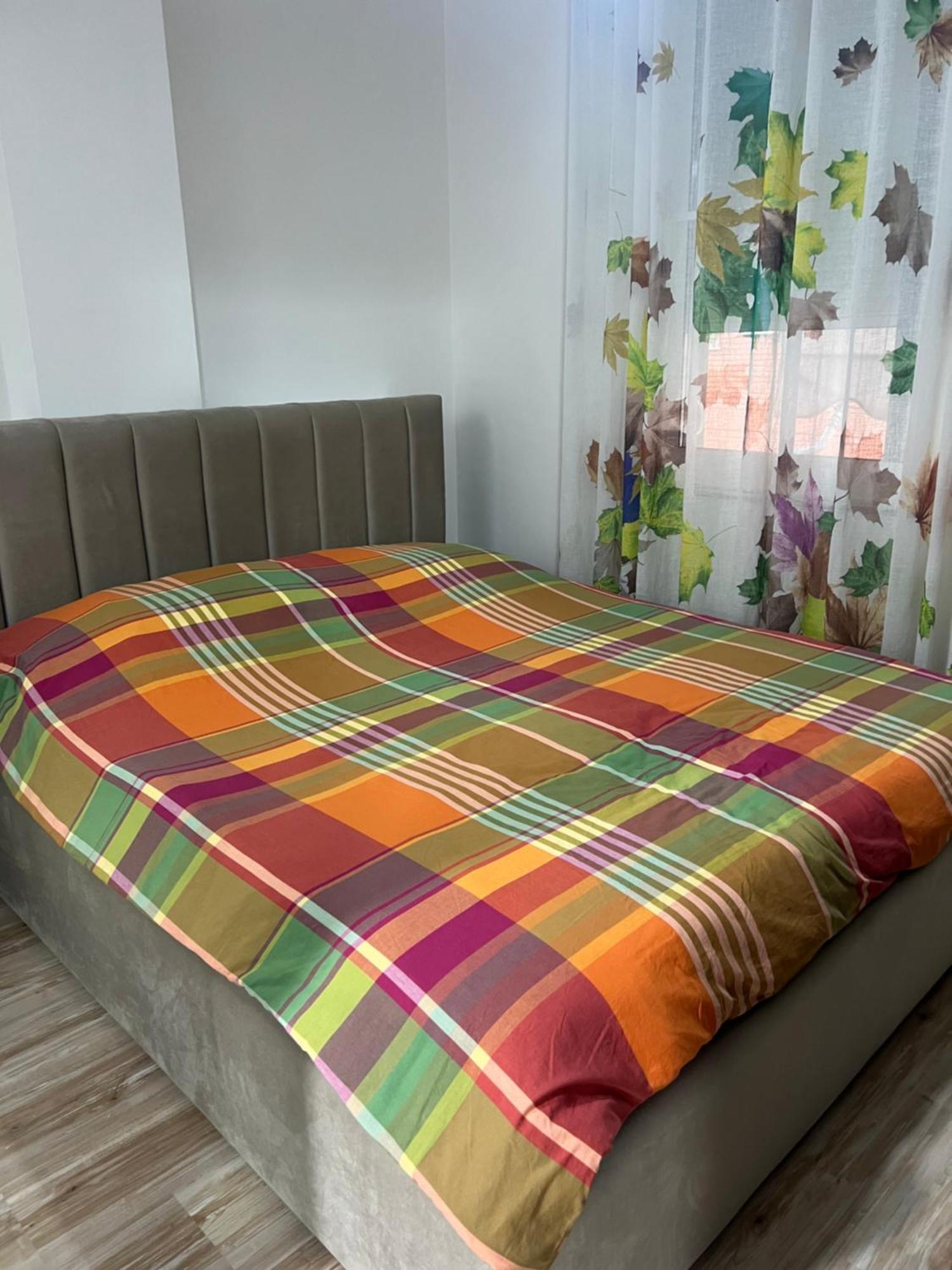 Ergi'S Studio Apartment Tiran Dış mekan fotoğraf